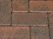 Premium Paver Range - 50mm: Golden Brindle 50mm block paver