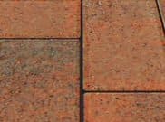 Trade Pavers 50mm & 60mm: Trade Brindle 50mm block paver