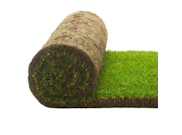 Soil, Compost & Bark Chippings: Premium Turf Roll 1m2