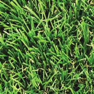 Artificial grass: sutton 28mm artificial grass 5m width