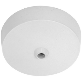 Electrical products: ceiling rose