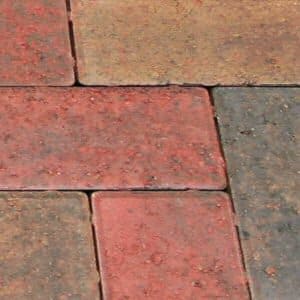 50mm pavers: vendage 50mm block paver