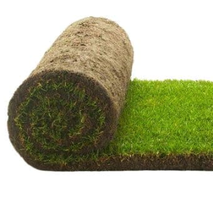 Soil compost: premium turf roll 1m2